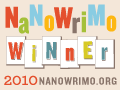 Read more about the article so i’ve finished nanowrimo