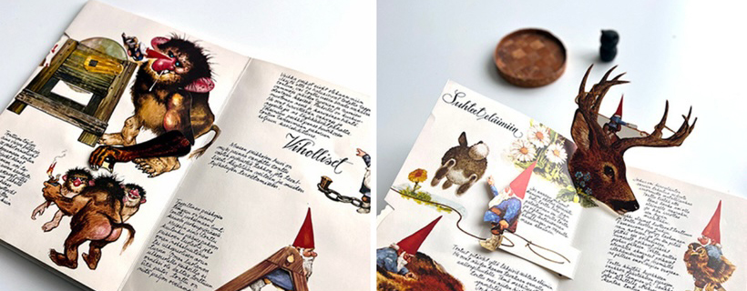 Field guide to the Finnish tonttu