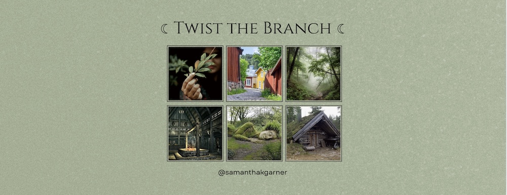 Read more about the article Say hello to Twist the Branch (FKA Seeker of the Lost Song)